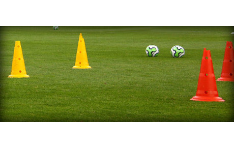 Seniors : Le programme de reprise